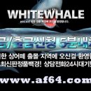 상어통신 이미지