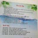 로틸리아 이미지