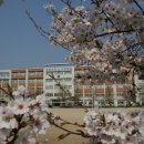 상일여자고등학교 이미지