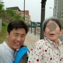 고양화전5 이미지