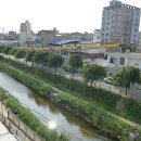 엠팔라시오 이미지