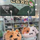 올리브영홈플러스동광주점