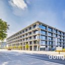 선진약품 이미지