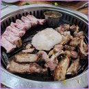 탐라우돈 이미지