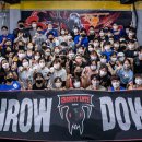 크로스핏 앤츠 이미지