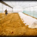 연동농장 이미지