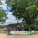 광주광역시교통약자이동지원센터 이미지