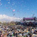 벚꽃플러스 이미지