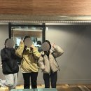 뉴질랜드 남섬 2일차 : 밀포드 사운드 투어