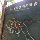 지에스(GS)25 당리베네스트 | 부산 승학산 등산코스_쉬운 코스,초보자 코스