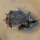 장충동왕족발 광천점 | 밥하기 싫은 날 구원투수 등장 장충동왕족발 진한 순대국밥