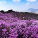 뚱땡이네 이미지