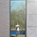 펜션 포레스트 이미지