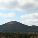 선흘리에 이미지