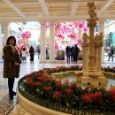 벨라지오호텔 이미지