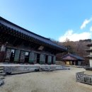 단지봉민박 이미지