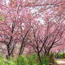 꽃빛공원 화장실 이미지