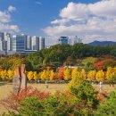 한성백제박물관 앞 이미지