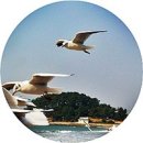 [출📝석] ＼ To my hometown 고향으로 이미지