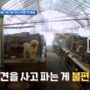 근인농장 티스토리