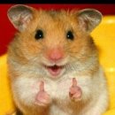 룸의정석 범계점 | 돌고 돌아 또돌아온 범계 나들이 후기