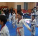 연세건무태권도장 이미지