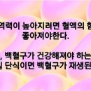 헬씨어트