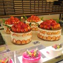 카스타트 | 순천빵집 빵지순례 조훈모과자점 내돈내산 후기