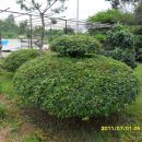 성경농장 이미지