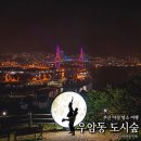 우암동 도시숲 | 부산 야경 명소 우암동 도시숲 공원 야경 여행
