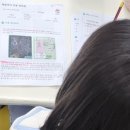 예쁜글쓰기 이미지