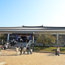 국립경주박물관 이미지