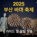 축제의 바다 | 2025 부산바다축제 - 무료 생수, QR 주문방법, 가는길 (불꽃쇼 &amp; 꿀팁) 직접 다녀온 1일차 후기