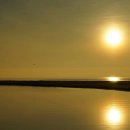 샐리의 법칙(sally´s law) 이미지