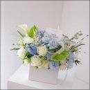 압구정-234 이미지