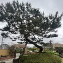 메이플해피하우스 이미지