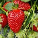 곡성-195 이미지