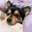 서초중앙로2길 48 | 202402