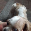 구로두산위브 이미지