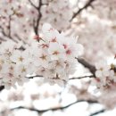 화락고기집 이미지