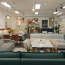 에이트바인 이미지