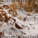 흙과나무의파도소리 이미지