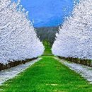 마음의 양식 이미지