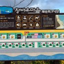 해송피크닉장 이미지