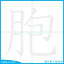 세포/포 이미지