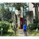 캣인큐브 이미지