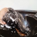 헤어썸데이 네이버블로그