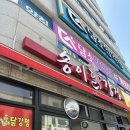 마도로스횟집 2호점 | <고고양양>으로 양양 고고혓~ 24.05.18