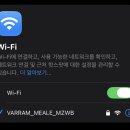 도그캣