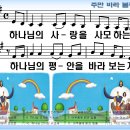 (주)주만